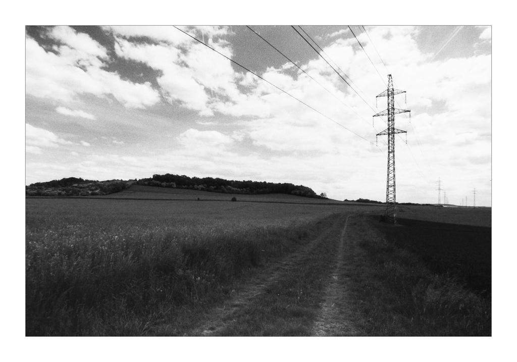 IMG03290