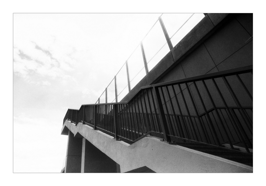 IMG03313