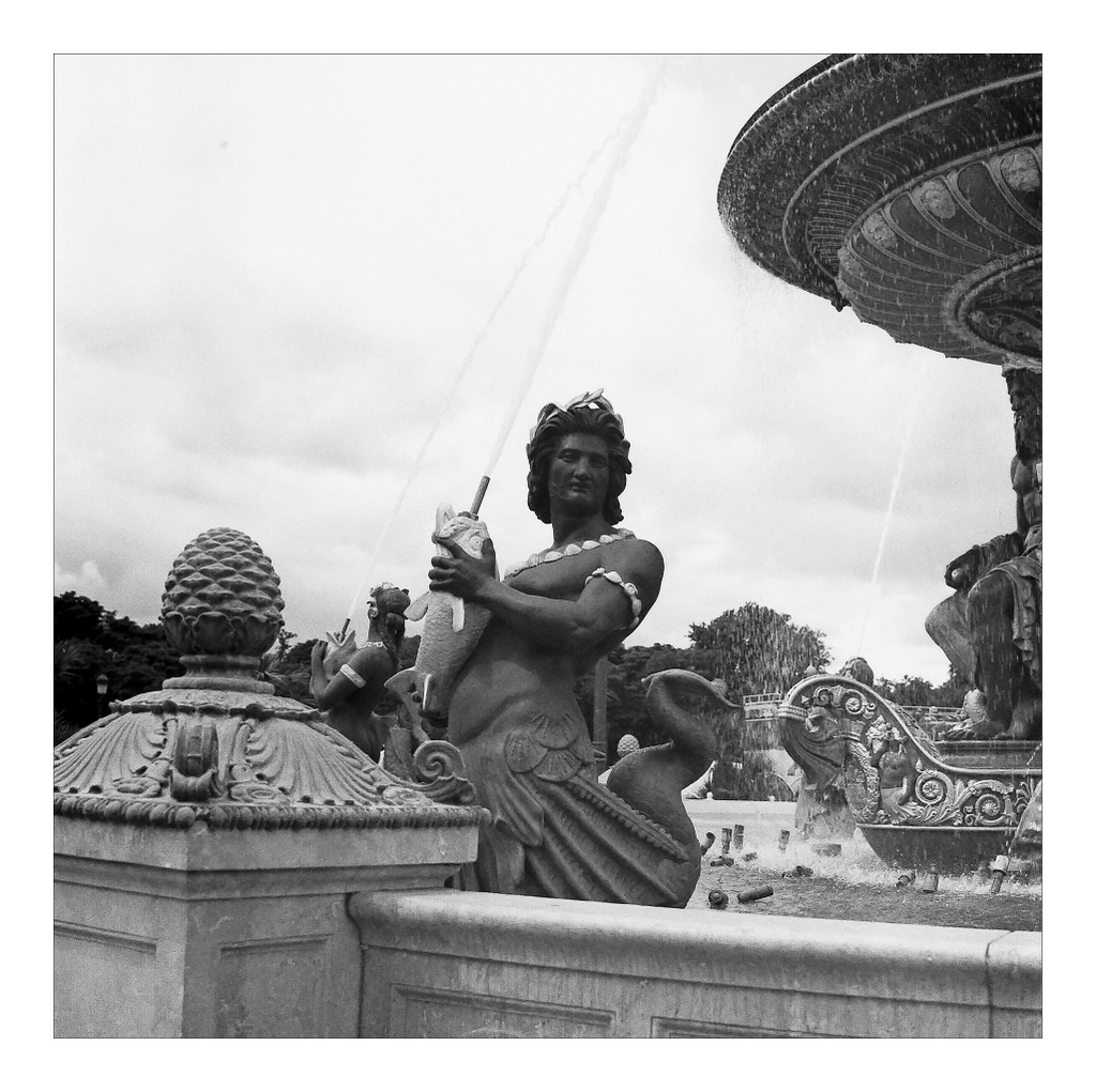IMG03364