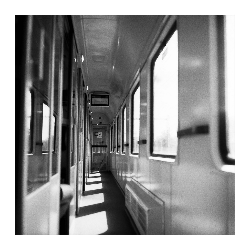 IMG03550