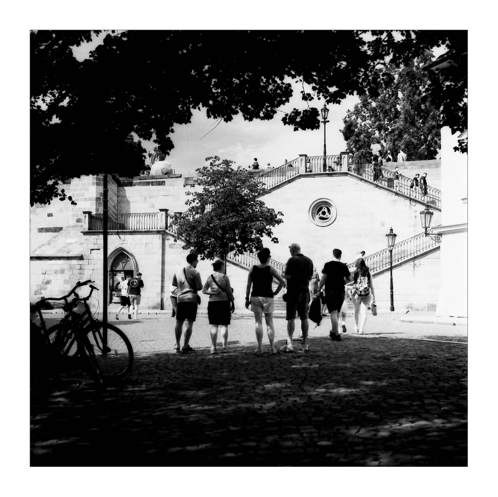 IMG03557