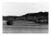 IMG03281